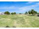 Expansive green park area surrounded by trees and neighborhood homes under a clear blue sky at 2640 E Mallory St, Mesa, AZ 85213