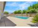 Relaxing backyard with a beautiful pool surrounded by lush landscaping, including blooming white flowers at 2640 E Mallory St, Mesa, AZ 85213