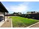 Large backyard with well-maintained lawn, desert landscaping, and a covered patio area at 325 W San Angelo St, Gilbert, AZ 85233
