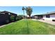 Expansive backyard featuring a lush green lawn and established trees, ideal for recreation at 325 W San Angelo St, Gilbert, AZ 85233