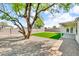 Beautifully landscaped backyard with well-maintained lawn, stone accents, mature tree, and covered patio at 332 E Houston Ave, Gilbert, AZ 85234