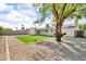 Large backyard featuring a well-maintained lawn, mature tree, and ample space for outdoor entertaining at 332 E Houston Ave, Gilbert, AZ 85234