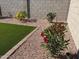 Landscaped backyard featuring synthetic grass, desert landscaping, and a block wall for privacy at 36204 W San Sisto Ave, Maricopa, AZ 85138