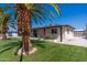 Charming one-story home with green grass, a palm tree, and a well-manicured lawn at 5452 E University Dr, Mesa, AZ 85205