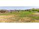 The image shows a large, grassy community greenbelt with various trees and foliage at 5752 N 109Th Ave, Phoenix, AZ 85037