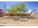 A large tree provides shade in a spacious backyard with wood fence at 6728 N 24Th Dr, Phoenix, AZ 85015