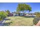 Charming single-story home featuring a lush lawn and a mature shade tree in the front yard at 6728 N 24Th Dr, Phoenix, AZ 85015