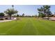 Scenic golf course view showcasing meticulously manicured greens, inviting players for a relaxing game at 9234 W Sierra Pinta Dr, Peoria, AZ 85382