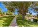 Serene walkway with mature tree and landscaping, providing a peaceful environment for a relaxing stroll at 9234 W Sierra Pinta Dr, Peoria, AZ 85382