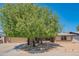 Lovely single-story home with a large tree providing shade in the front yard at 102 E Angela Dr, Phoenix, AZ 85022