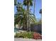 Palm tree-lined pool area with colorful flowers along the back wall, creating a private oasis at 12601 N 34Th St, Phoenix, AZ 85032