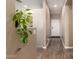 Entrance hallway with wood floors and neutral paint at 152 N 194Th Ln, Buckeye, AZ 85326
