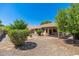Private backyard featuring a brick firepit area, covered patio, mature trees and low-maintenance desert landscaping at 2329 E Ebony Dr, Chandler, AZ 85286
