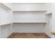 Walk-in closet with built-in shelving and carpeted flooring at 2329 E Ebony Dr, Chandler, AZ 85286