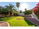Lush backyard featuring green grass, mature palm trees, and well-maintained landscaping at 2977 E County Down Dr, Chandler, AZ 85249