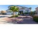 Charming front yard with stone walkway, desert landscaping, and a mature palm tree at 2977 E County Down Dr, Chandler, AZ 85249