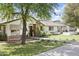 Attractive home with stone accents, a well-maintained lawn, and mature trees providing ample shade at 613 E Vista Ave, Phoenix, AZ 85020
