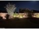Night view of the backyard showcasing ocotillo, desert landscaping, rock features, and ambient lighting at 8220 W Mariposa Grande Ln, Peoria, AZ 85383