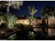 Night view of the pool area with lush landscaping, mature palms, and ambient lighting at 8220 W Mariposa Grande Ln, Peoria, AZ 85383