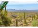 Scenic view of the desert mountains and city skyline from a beautiful desert estate at 43105 N 102Nd St, Scottsdale, AZ 85262