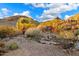 Desert backyard with a stone stairway, cactus and mountain views at 6621 N Arizona Biltmore Cir, Phoenix, AZ 85016
