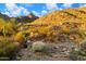Desert backyard with cactus plants, a small fence and a mountain backdrop at 6621 N Arizona Biltmore Cir, Phoenix, AZ 85016