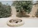 Charming brick fire pit is nestled in a desert landscaped backyard, perfect for outdoor entertaining at 1024 W Ayrshire Trl, San Tan Valley, AZ 85143