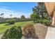 Lush backyard featuring mature trees, manicured landscaping, and plenty of space to relax and entertain at 14123 W Yosemite Dr, Sun City West, AZ 85375