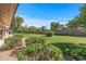Wide backyard with mature trees and lush, green lawn at 14123 W Yosemite Dr, Sun City West, AZ 85375