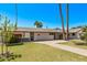 Attractive single-story home featuring a lush green lawn, mature trees, and an inviting walkway to the front door at 1431 E San Juan Ave, Phoenix, AZ 85014