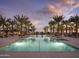 Resort-style community pool surrounded by lush palm trees, perfect for relaxation and enjoying the serene outdoor ambiance at 17560 W Crawfordsville Dr, Surprise, AZ 85388