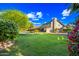 Spacious backyard with mature trees, a verdant lawn, an inviting pool, and a charming hammock for ultimate relaxation and enjoyment at 2066 E Lockwood St, Mesa, AZ 85213