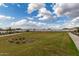 Expansive green space in a community park with walking paths and desert landscaping at 2517 E Presidio St, Mesa, AZ 85213