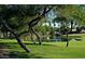 Lush golf course with mature trees and a serene pond at 3928 N 151St Ave, Goodyear, AZ 85395