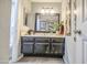 Cozy bathroom with a vanity, mirror, and a decorative plant for added charm at 4112 E Maldonado Dr, Phoenix, AZ 85042