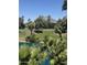 Scenic golf course view with lush greenery, palm trees, and a serene water feature at 5102 N 31St Pl # 436, Phoenix, AZ 85016
