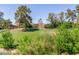Expansive greenspace showcasing lush landscaping and trees, offering serene views of the community at 5102 N 31St Pl # 436, Phoenix, AZ 85016