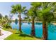 Picturesque view of a pond framed by palm trees and green grass, creating a tropical oasis at 5102 N 31St Pl # 436, Phoenix, AZ 85016