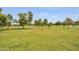 Expansive green park with mature trees provides recreational space and natural beauty at 6027 E Spring Rd, Scottsdale, AZ 85254