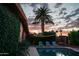 Backyard pool and patio area with a palm tree, lounge chairs, and lush greenery at sunset at 712 W Vernon Ave, Phoenix, AZ 85007