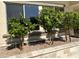 Landscaped garden bed featuring three small trees, with a charming stone border and modern home exterior in the background at 11934 S 181St Ave, Goodyear, AZ 85338