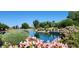 Community pond view with landscaping, a fountain and bright blue skies at 14748 W Willow Ln, Surprise, AZ 85374