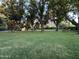 Expansive backyard with lush greenery, providing ample space for recreation and relaxation at 2311 E Colter St, Phoenix, AZ 85016
