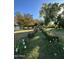 Expansive backyard with mature trees, manicured lawn, and beautiful greenery offers a serene outdoor space at 2311 E Colter St, Phoenix, AZ 85016