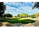Lush community park with green grass, mature trees, and a beautiful, clear blue sky at 17749 W Woodrow Ln, Surprise, AZ 85388