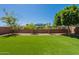 A well maintained artifical lawn in backyard with a view of the community playground in the distance at 3871 E Harrison St, Gilbert, AZ 85295