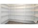 Spacious pantry with ample shelving and easy access to kitchen and storage at 43601 W Cowpath Rd, Maricopa, AZ 85138