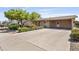 Single-story home featuring mature landscaping in the front yard and a long driveway with covered carport at 6631 E Dallas St, Mesa, AZ 85205