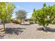 Well-maintained front yard featuring desert landscaping, mature trees, and charming curb appeal at 6631 E Dallas St, Mesa, AZ 85205