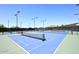 Well-maintained tennis courts with professional lighting and pristine surfaces, perfect for recreational play and competition at 10065 E Tiger Lily Ave, Mesa, AZ 85212